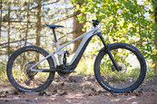 giant reign e1©nico joly