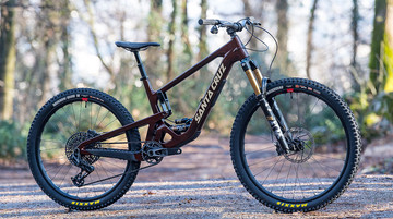 santacruz-2025-bronson-1-photo-nico-joly